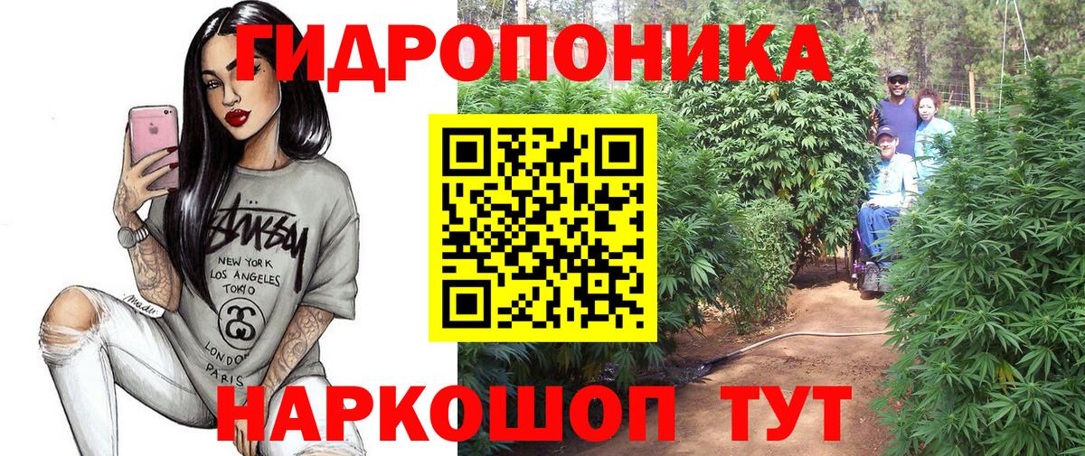 Канабис SATIVA & INDICA  Бошки марихуана LSD WEED  Канабис Bruce Banner  Ленинск-Кузнецкий  Вход с VPN 